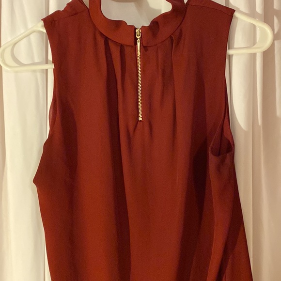 Collared shell - Picture 4 of 4